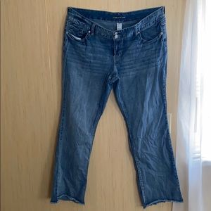 Maurices size 20R jeans